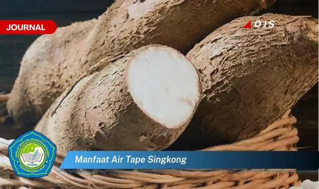 manfaat air tape singkong