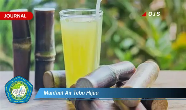 Temukan 6 Manfaat Air Tebu yang Bikin Kamu Penasaran - E-Journal