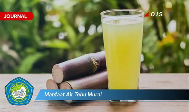 manfaat air tebu murni