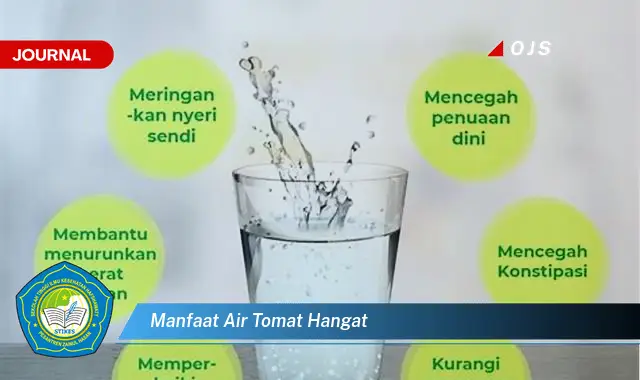 manfaat air tomat hangat