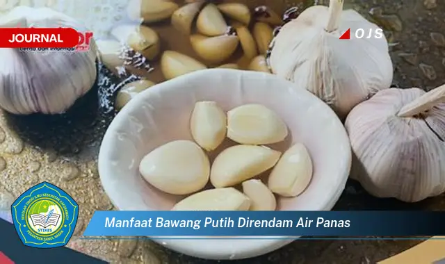 manfaat bawang putih direndam air panas