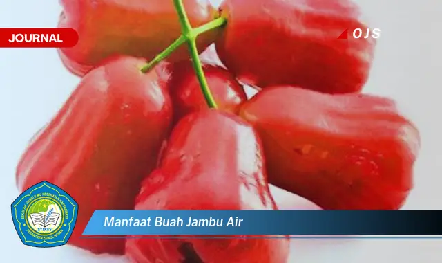 manfaat buah jambu air