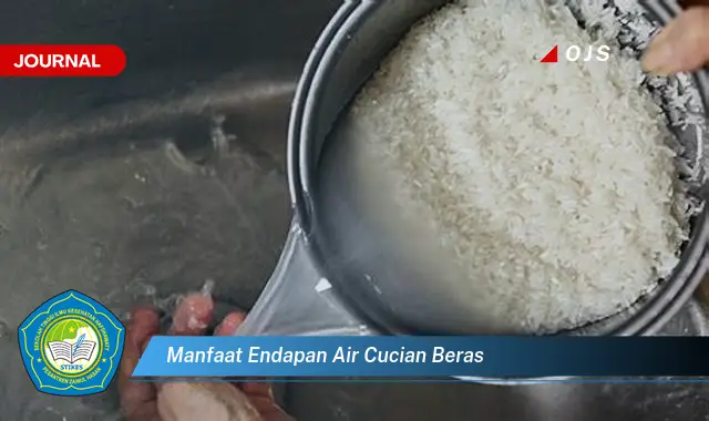 manfaat endapan air cucian beras manfaat endapan air cucian beras