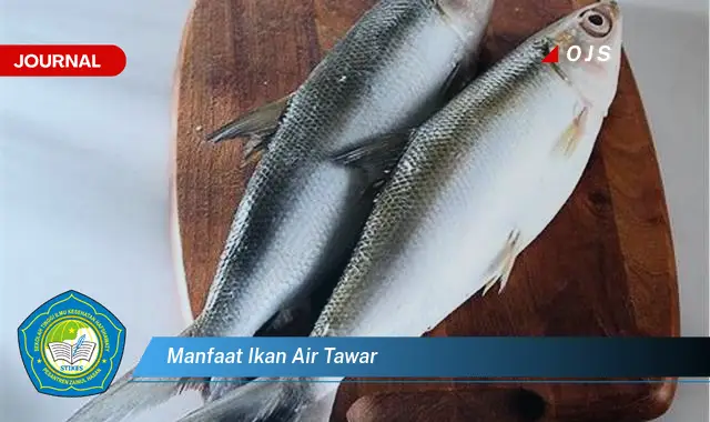 manfaat ikan air tawar