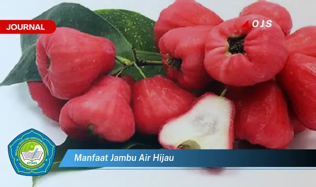 manfaat jambu air hijau