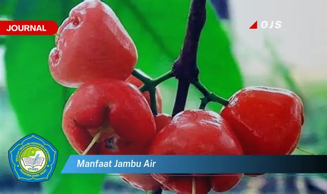 manfaat jambu air