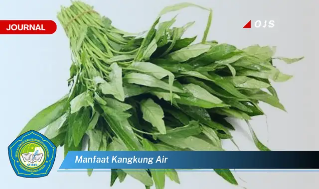 manfaat kangkung air