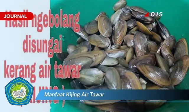 manfaat kijing air tawar