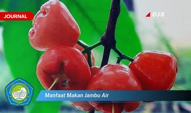 manfaat makan jambu air