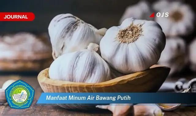 manfaat minum air bawang putih