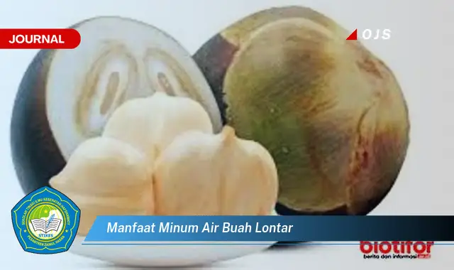 manfaat minum air buah lontar