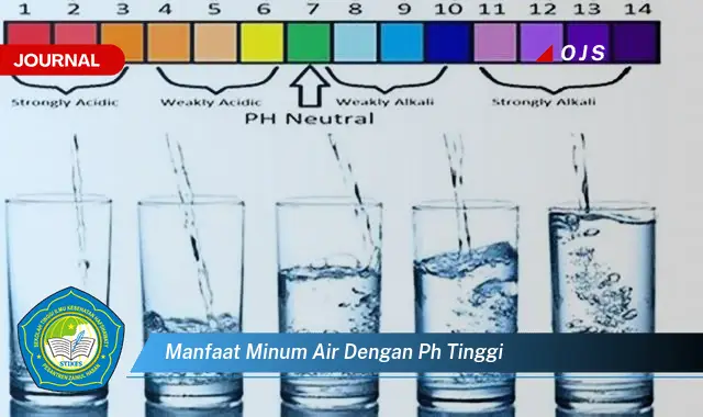 manfaat minum air dengan ph tinggi