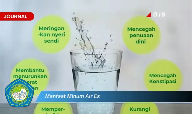 manfaat minum air es