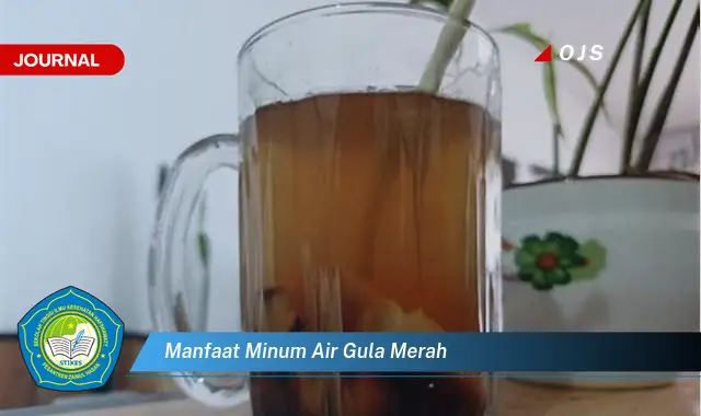 manfaat minum air gula merah