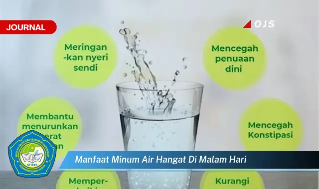 manfaat minum air hangat di malam hari