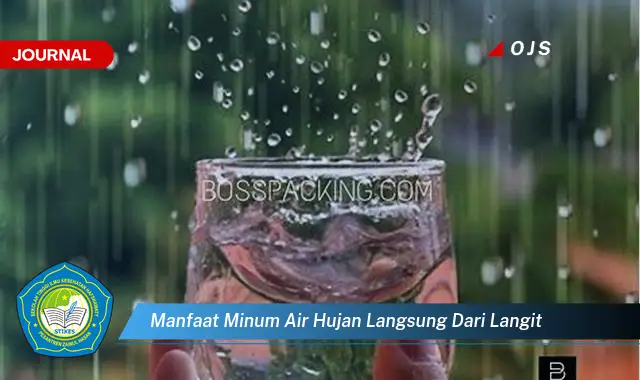 manfaat minum air hujan langsung dari langit