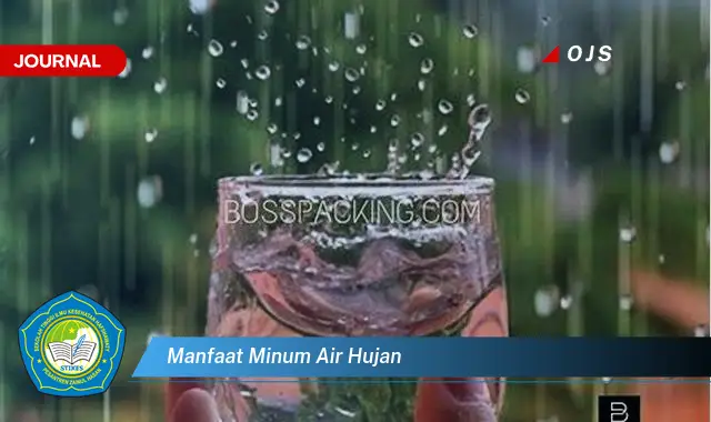 manfaat minum air hujan