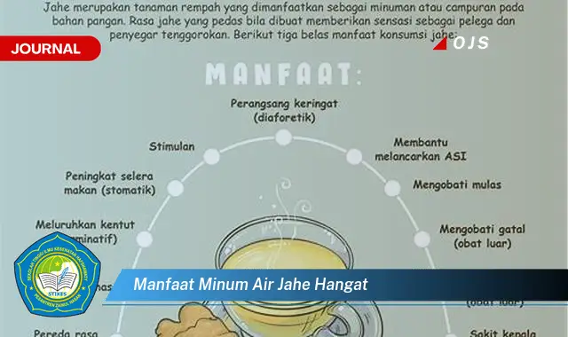 manfaat minum air jahe hangat