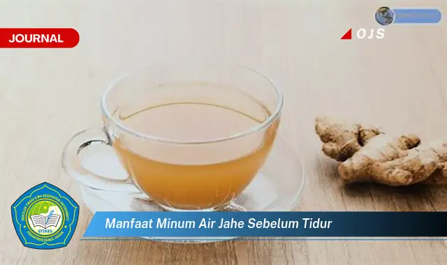 manfaat minum air jahe sebelum tidur