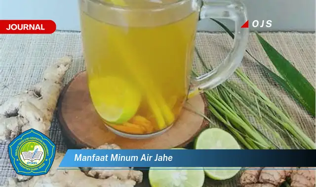 manfaat minum air jahe