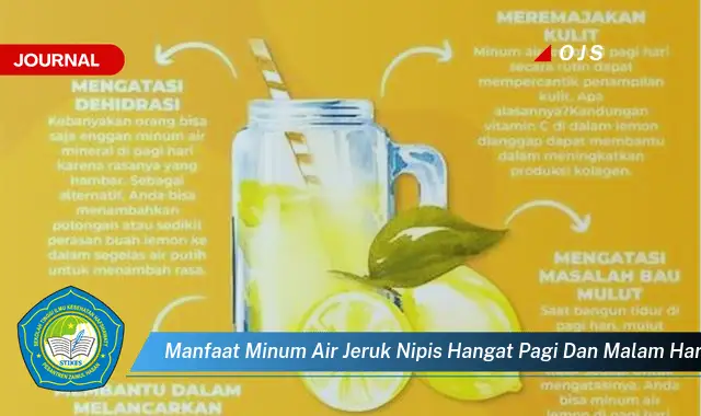 manfaat minum air jeruk nipis hangat pagi dan malam hari