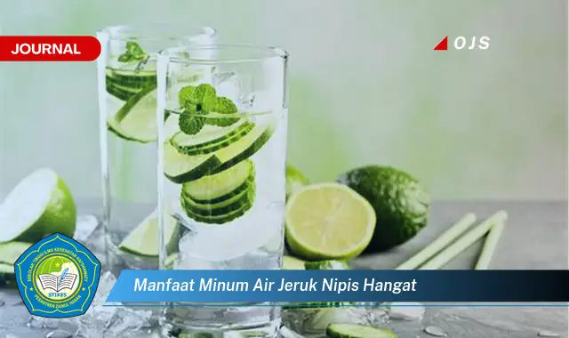 manfaat minum air jeruk nipis hangat