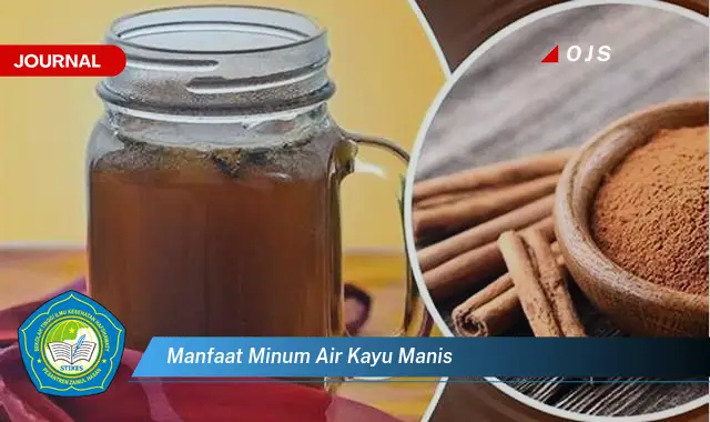 manfaat minum air kayu manis