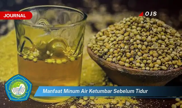 manfaat minum air ketumbar sebelum tidur manfaat minum air ketumbar sebelum tidur
