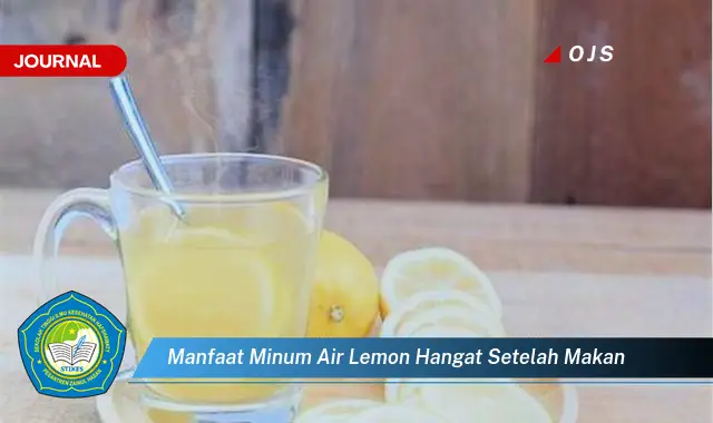 manfaat minum air lemon hangat setelah makan