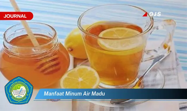 manfaat minum air madu manfaat minum air madu