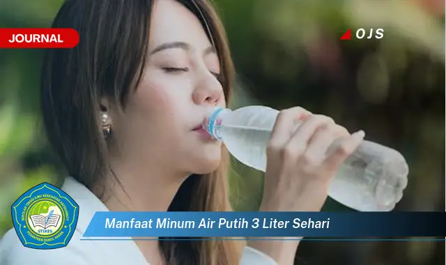 Temukan 6 Manfaat Minum Air Putih 3 Liter Sehari yang Bikin Kamu Penasaran - E-Journal