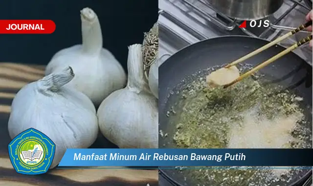 manfaat minum air rebusan bawang putih