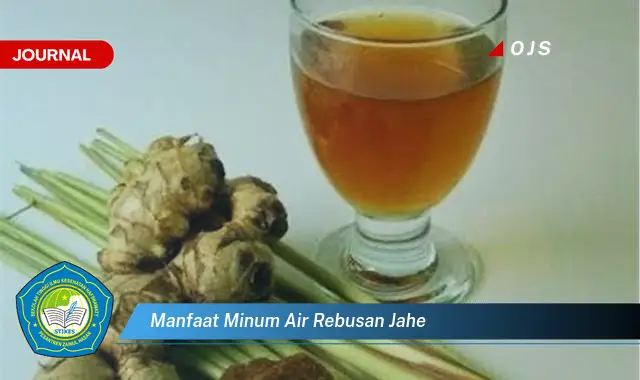 manfaat minum air rebusan jahe