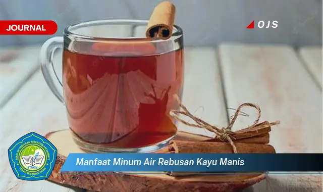 manfaat minum air rebusan kayu manis manfaat minum air rebusan kayu manis