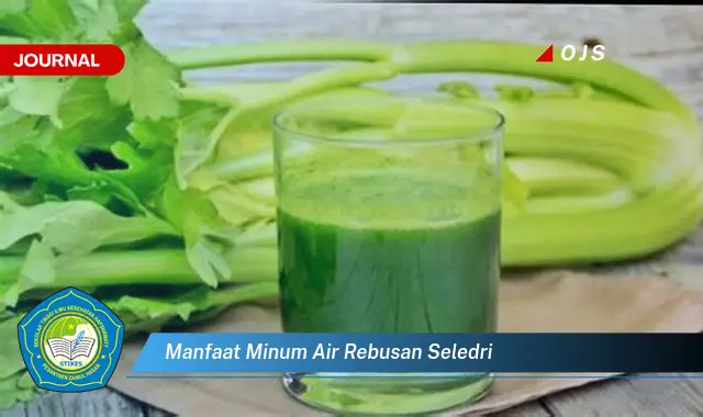 manfaat minum air rebusan seledri