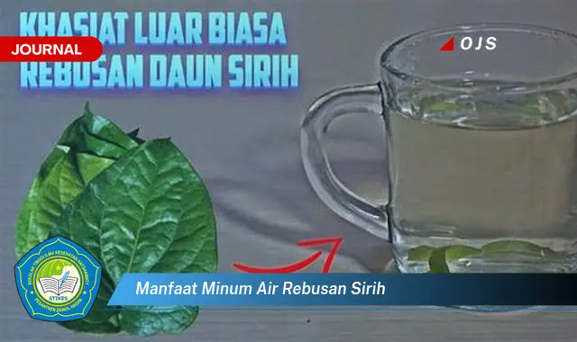 manfaat minum air rebusan sirih