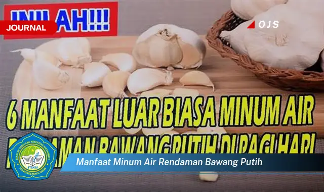 manfaat minum air rendaman bawang putih manfaat minum air rendaman bawang putih