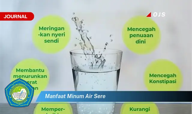 manfaat minum air sere