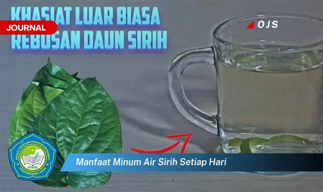 manfaat minum air sirih setiap hari