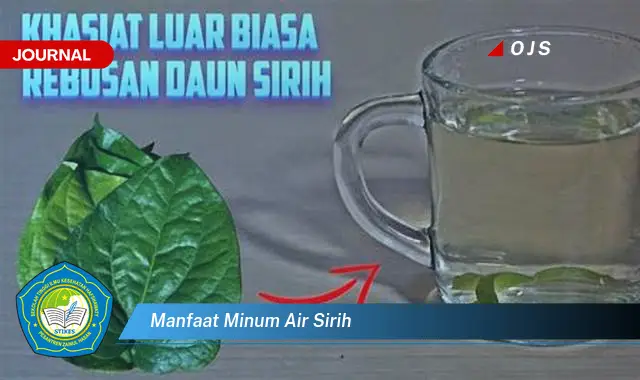 manfaat minum air sirih