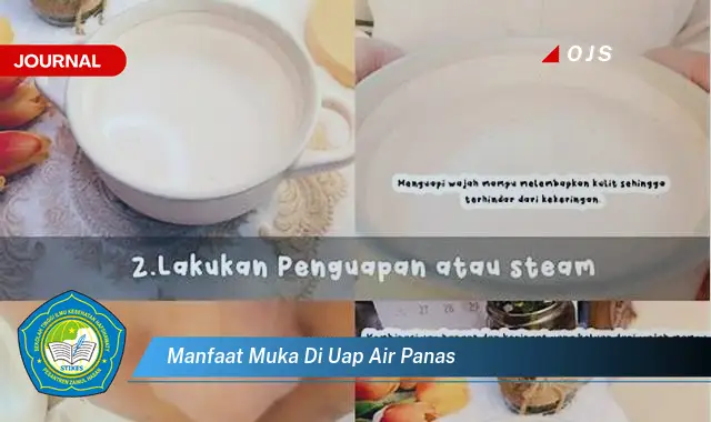 manfaat muka di uap air panas