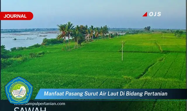 manfaat pasang surut air laut di bidang pertanian