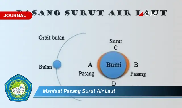 manfaat pasang surut air laut