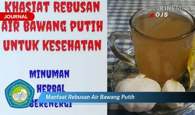 manfaat rebusan air bawang putih