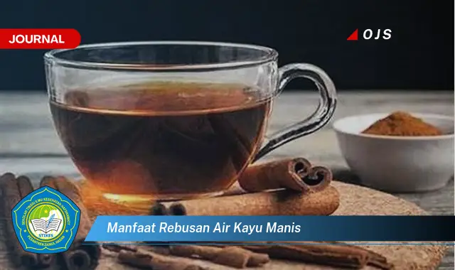 manfaat rebusan air kayu manis