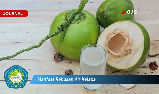 manfaat rebusan air kelapa