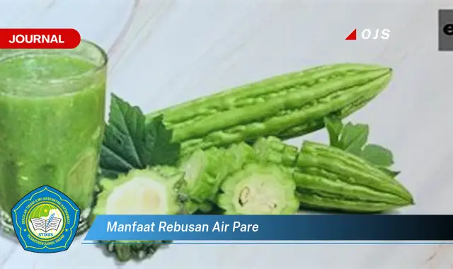 manfaat rebusan air pare