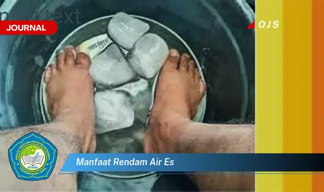 manfaat rendam air es