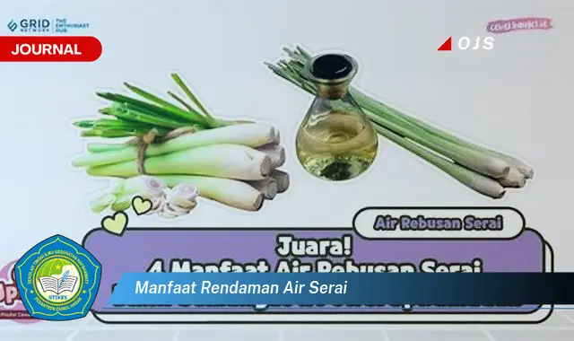 Intip 6 Manfaat Rendaman Air Serai yang Bikin Kamu Penasaran - E-Journal