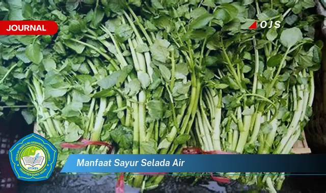 manfaat sayur selada air